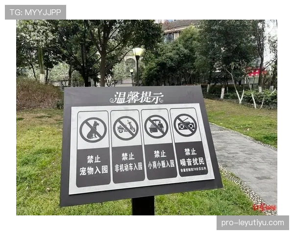 黄牌警告的判定标准：哪些行为必然吃牌？
